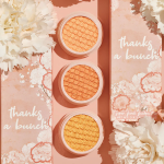 Colourpop Super Shock Eyeshadow kit-Thanks A Bunch