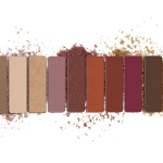 Wet N Wild 10 Pan Eyeshadow Palette-Rose In The Air