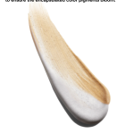 Clinique Dramatically Different Moisturizing BB Gel-50ml