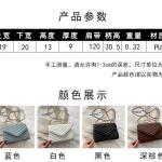 Bag Women's Classic Niche Design Wave Internet Popular Fashion Chain Shoulder Bag Instagram All-match Small Square Bag