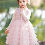 Winter Princess Velvet Dress 👑