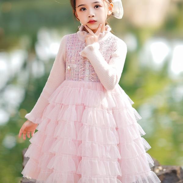 Winter Princess Velvet Dress 👑