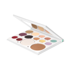 Ofra Pro Face Palette-Professional Mixed Palette
