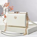 Glossy Leather Steel Clip Evening Shoulder Bag