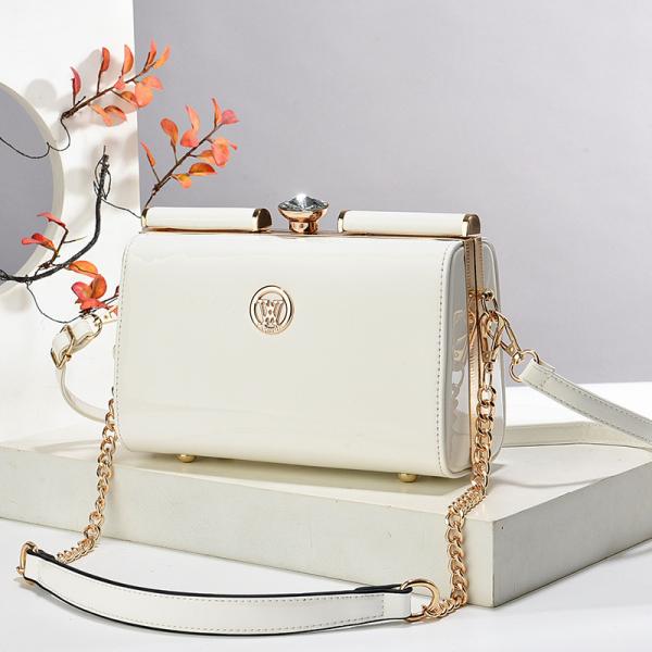 Glossy Leather Steel Clip Evening Shoulder Bag