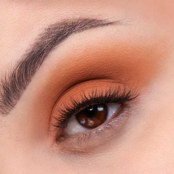 Ofra Pro Professional Eyeshadow Palette-Summer Edit