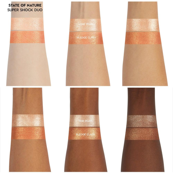 Colourpop Super Shock Eyeshadow Kit-State Of Nature